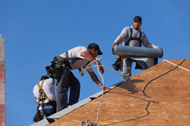 Best Roof Waterproofing Services  in South Barre, VT